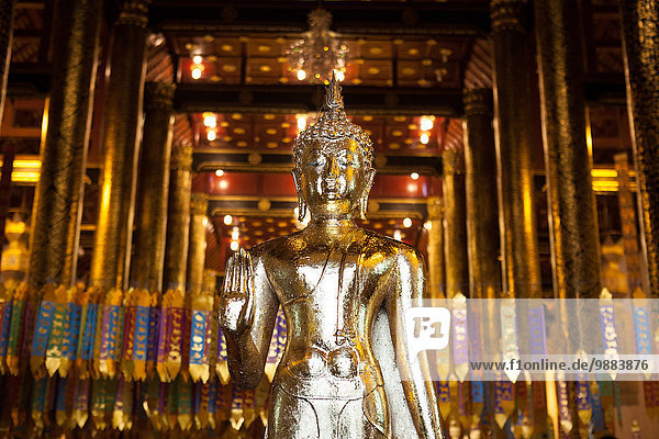 Buddha im goldenen Tempel  Chiang Mai  Thailand