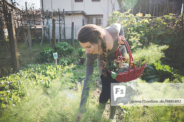 Junge Frau pflegt Pflanzen im Garten