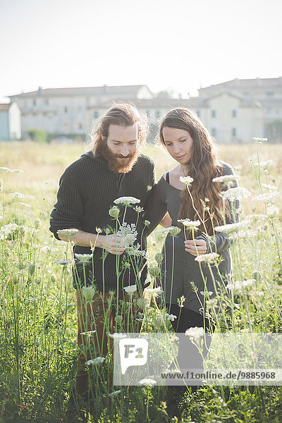 Young couple picking wild flowers in field