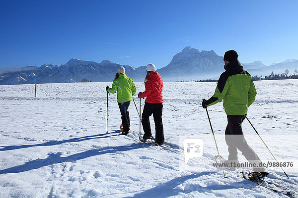 Drei Personen mit Schneeschuhen  Tegelberg  Ammergauer Alpen  Allgäu  Bayern  Deutschland  Europa
