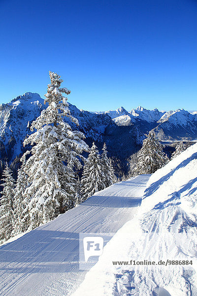 Tegelberg im Winter  Ammergauer Alpen  Allgäu  Bayern  Deutschland  Europa