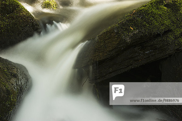 Felsbrocken Wasser Hektik Druck hektisch Wasserfall Steinschlag Moos Kanada Ontario