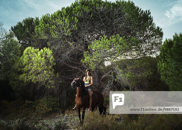 Woman horseback riding; Tarifa  Cadiz  Andalusia  Spain