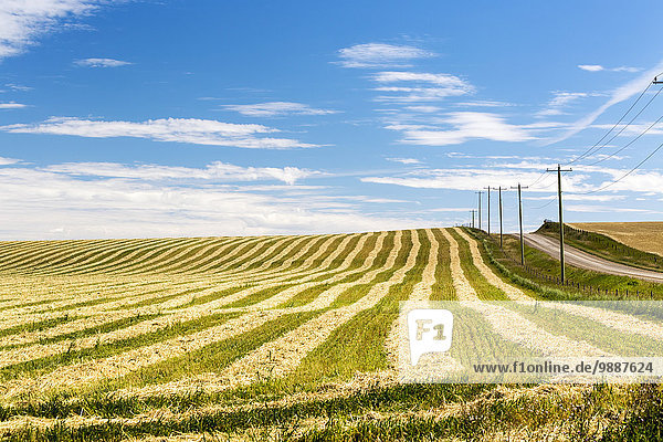 rollen Getreide Wolke Himmel Hügel Stange Fernverkehrsstraße Feld blau Kies Alberta Kanada