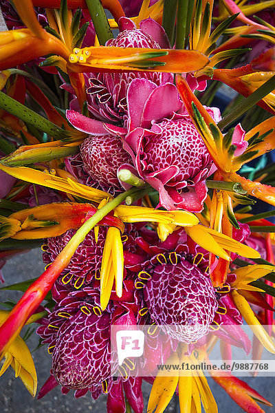 Blume Anordnung Markt Vanuatu