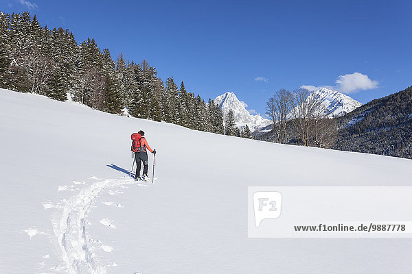 Frau beim Skiwandern Pongau Salzburger Land Österreich Europa