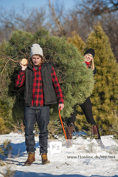 Frische schneiden Bauernhof Hof Höfe Weihnachtsbaum Tannenbaum auswählen Verbindung