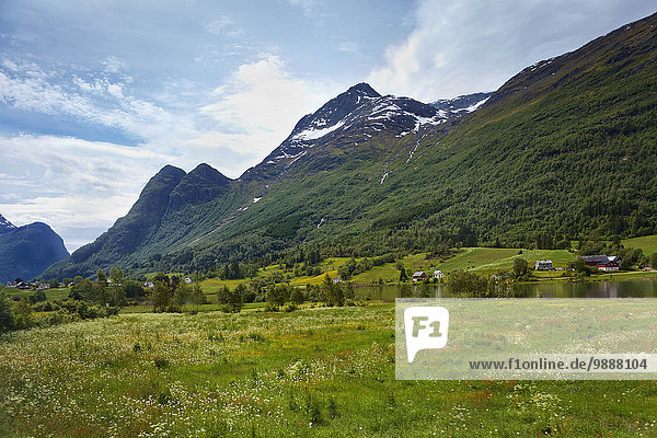 nahe Landschaftlich schön landschaftlich reizvoll Berg Norwegen Fjord Sogn og Fjordane
