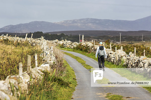 Female hiker walking along the road framed with stone fences and mountains in the distance; Omey Island  County Galway  Ireland