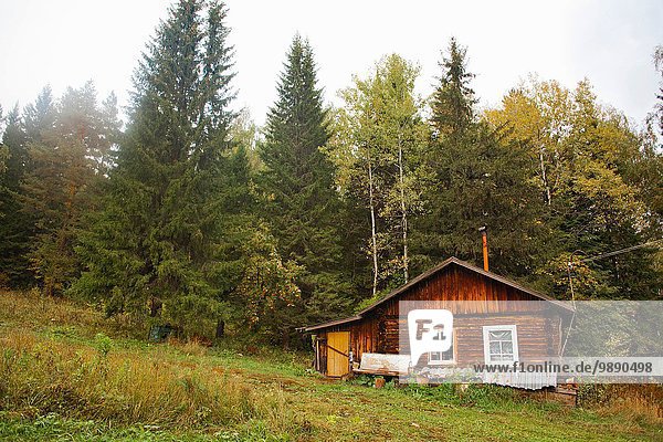 Hütte vor dem Wald  Dorf Sarsy  Gebiet Swerdlowsk  Russland