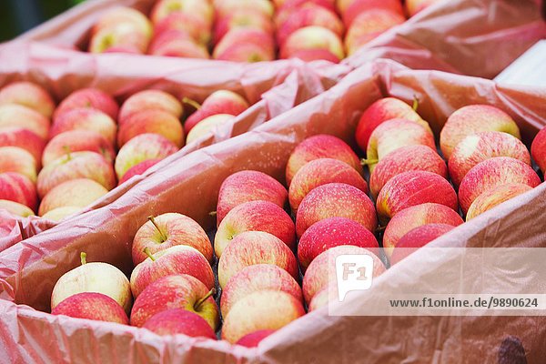 Apfel-Display im Lebensmittelgeschäft