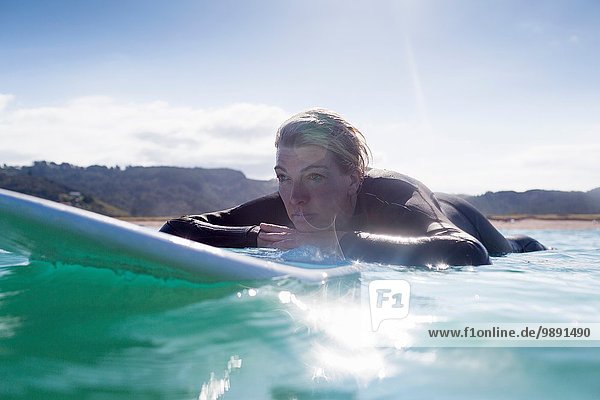 Surfer in the water  Bay of Islands  NZ