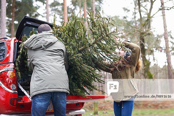 Junges Paar hebt Weihnachtsbaum in den Kofferraum