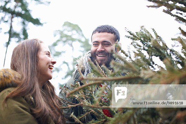 Young couple collecting Christmas tree from forest