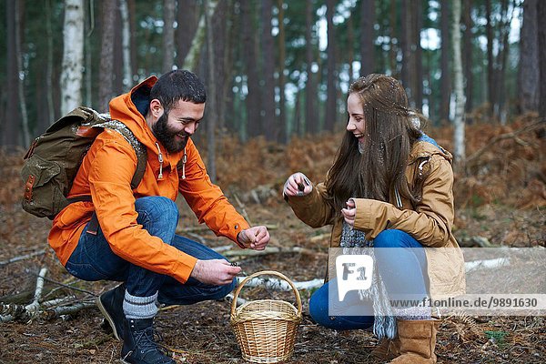 Young hiking couple collecting pine cones in forest