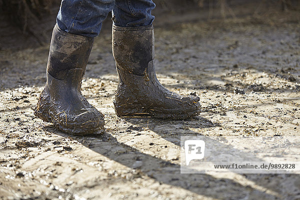 Legs of boy in muddy rubber boots in dairy farm yard