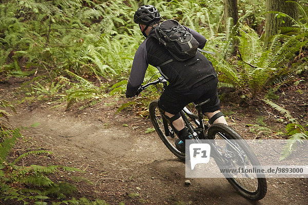 Mature man riding mountain bike in forest  rear view