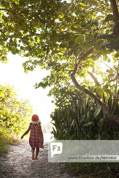 Rückansicht des barfüßigen Mädchens im Sonnenhut beim Spaziergang am Waldstrand  Anna Maria Island  Florida  USA