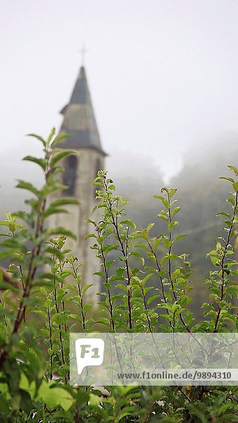 Tag Wind Nebel Kirche Ast Bewegung