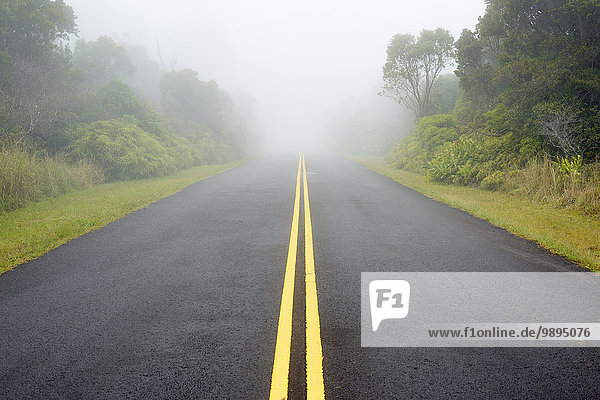 USA  Hawaii  Waimea  Straße im Nebel  Kokee State Park
