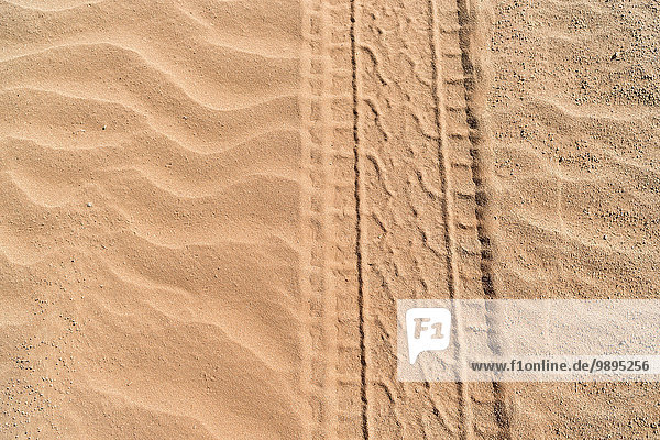 Namibia  Namib Wüste  Namib Naukluft Park  Sossusvlei  Reifenspur im Sand
