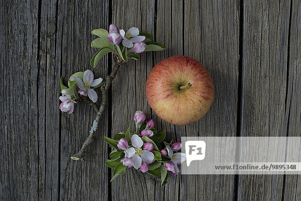 Gala Royal Apfel und Blüten auf Holz