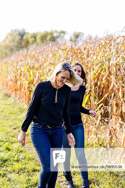 Two women walking along a cornfield