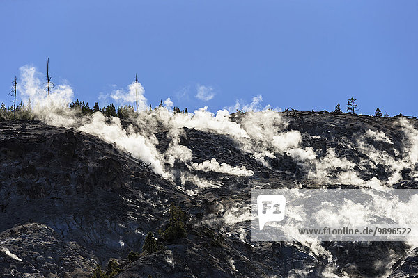 USA  Yellowstone National Park  Mountian  Forest fire