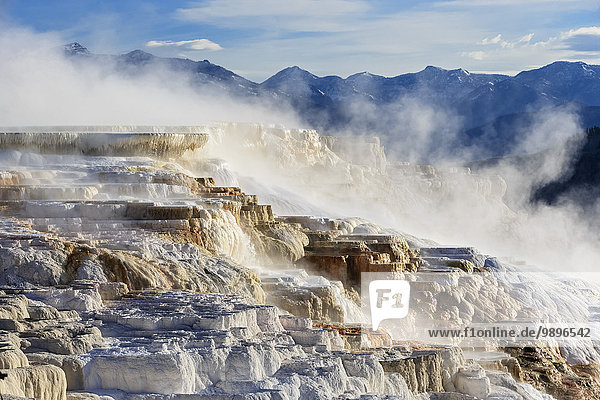 USA  Wyoming  Mammut Hot Springs  Yellowstone Nationalpark  Obere Terrassen  Kanarische Quelle