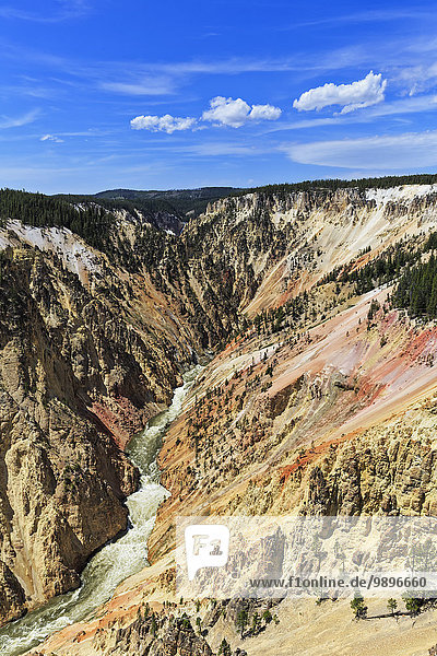 USA  Wyoming  Yellowstone Nationalpark  Blick auf den Yellowstone River  Grand Canyon des Yellowstone