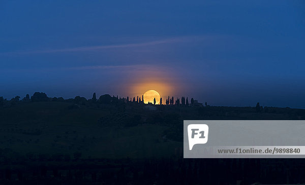 Italien  Toskana  Val d'Orcia  Monduntergang hinter Zypressen
