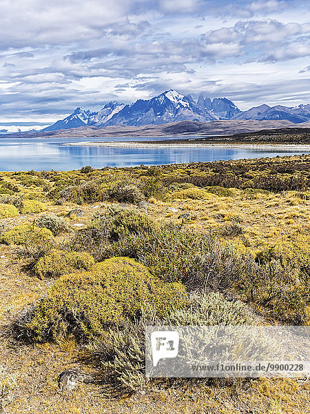 Chile  Cordillera del Paine  Blick auf den Sarmiento See und Torres del Paine im Hintergrund