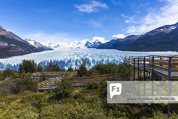 Argentina  Patagonia  Perito Moreno Glacier at Los Glaciares National Park