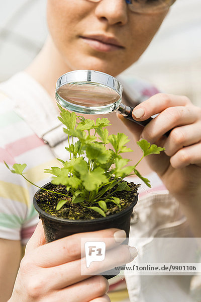 Young female gardener working in plant nursery