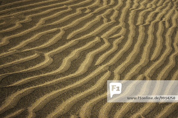Strukturen im Sand  Dünen von Maspalomas  Naturschutzgebiet  Gran Canaria  Kanarische Inseln  Spanien  Europa
