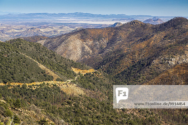 Berglandschaft in Sierra County hinten Wüstenebene bei Silver City New Mexico USA Nordamerika