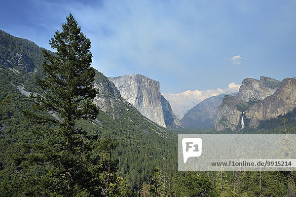 Ausblick auf die Half Dome  Yosemite-Nationalpark  Kalifornien  USA  Nordamerika