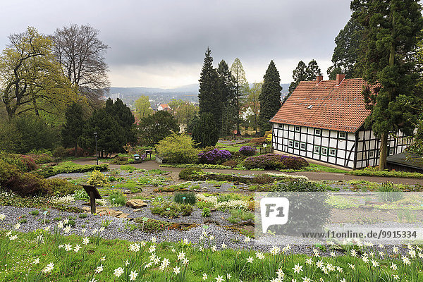 Botanischer Garten mit westfälischem Bauernhaus im Frühling  Bielefeld  Nordrhein-Westfalen  Deutschland  Europa