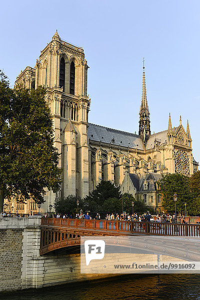 Kathedrale Notre Dame de Paris  Südfassade  Île de la Cité  Paris  Frankreich  Europa