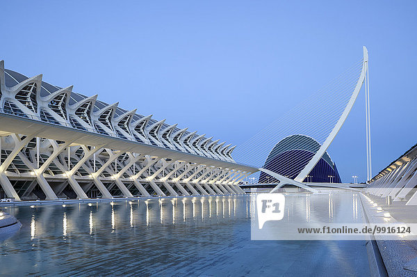 Die Stadt der Künste und Wissenschaften mit der Agora und dem Museu de les Ciencies Príncipe Felipe Wissenschaftsmuseum Valencia Spanien Europa