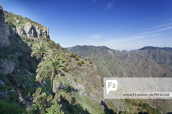 Viewpoint Degollada de Pereza y San Sebastian  Parque Nacional de Garajonay Garajonay National Park  in San Sebastian  La Gomera  Canary Islands  Spain  Europe