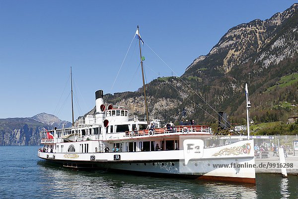 Stadt Luzern paddle steamer on Lake Lucerne  Lucerne  Switzerland  Europe