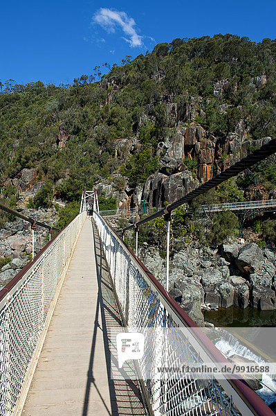 Hängebrücke über die Schlucht Cataract Gorge  Launceston  Tasmanien  Australien  Ozeanien