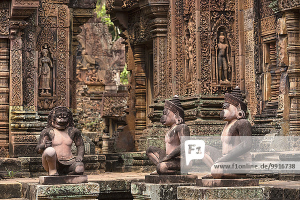 Wächterfiguren vor der Mandapa und dem südlichen Prasat  Khmer-Hindu-Tempel Banteay Srei  Angkor  Provinz Siem Reap  Kambodscha  Asien