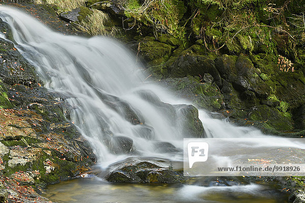 Close-up Herbst Wasserfall Ansicht Bayern Deutschland Nationalpark Bayerischer Wald