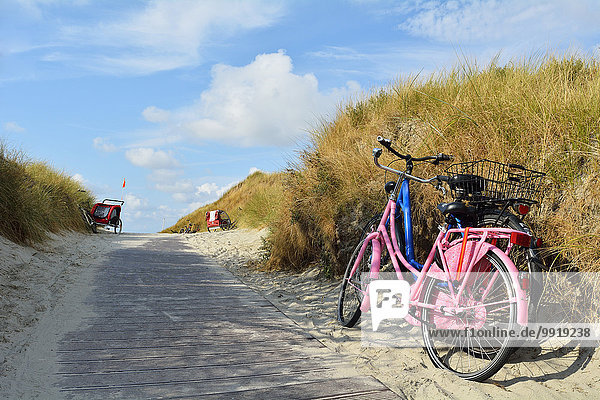 Strand,Sommer,Weg,Fahrrad,Rad,Deutschland,Niedersachsen