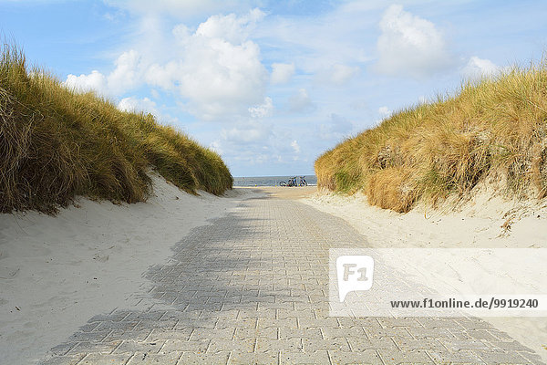 Strand Sommer Weg Düne Deutschland Niedersachsen Norderney Nordsee
