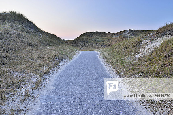Dunes Path at Dusk  Summer  Norderney  East Frisia Island  North Sea  Lower Saxony  Germany