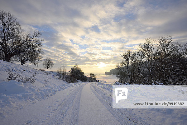 Landscape of Snowy Road on Winter Morning Upper Palatinate Bavaria Germany