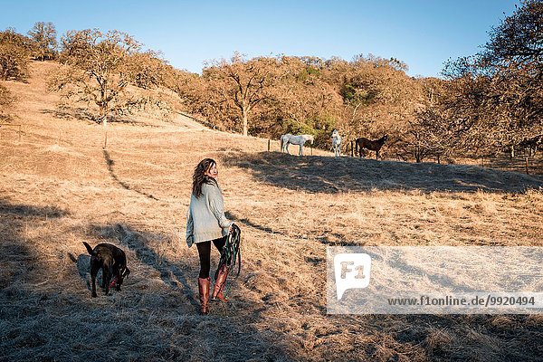 Young woman and dog walking through field carrying horse tack